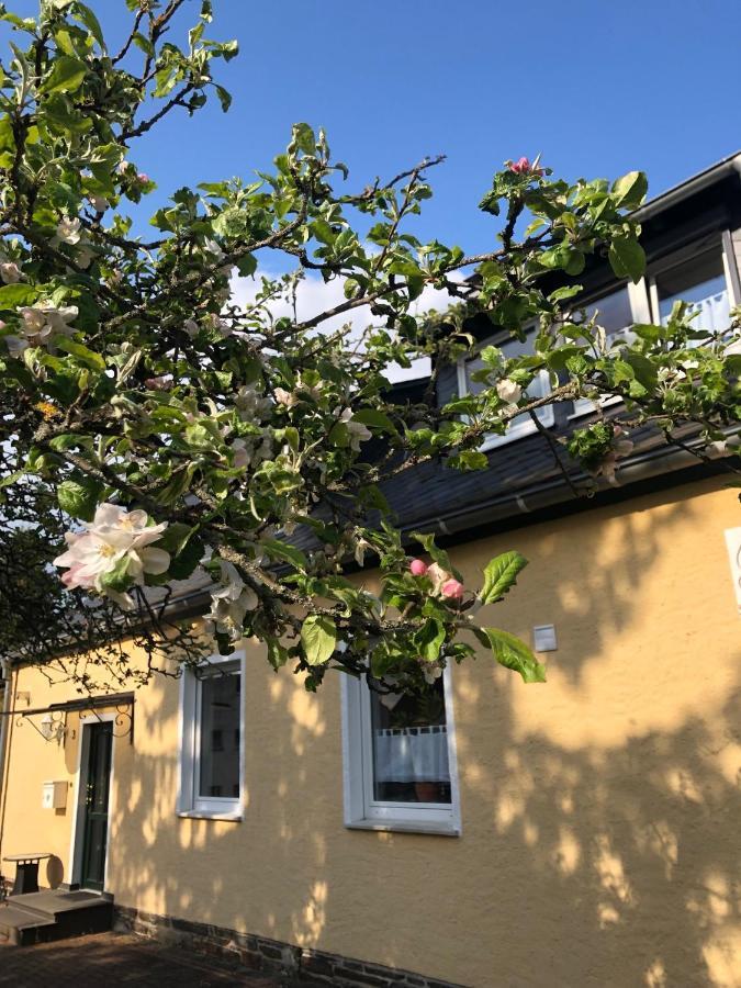 Am Apfelbaum, Ein Ferienhaus Zwischen Rhein Und Mosel Kastellaun Luaran gambar