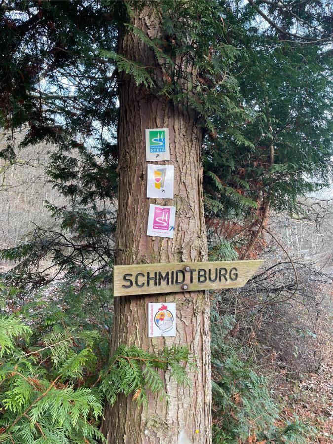 Am Apfelbaum, Ein Ferienhaus Zwischen Rhein Und Mosel Kastellaun Luaran gambar