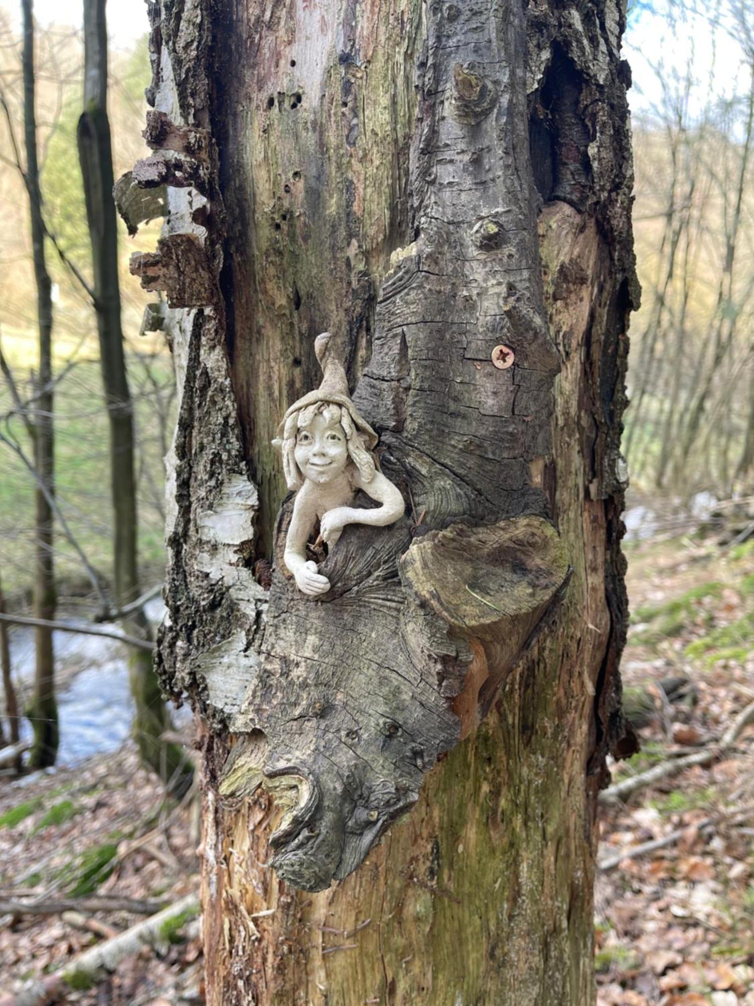 Am Apfelbaum, Ein Ferienhaus Zwischen Rhein Und Mosel Kastellaun Luaran gambar