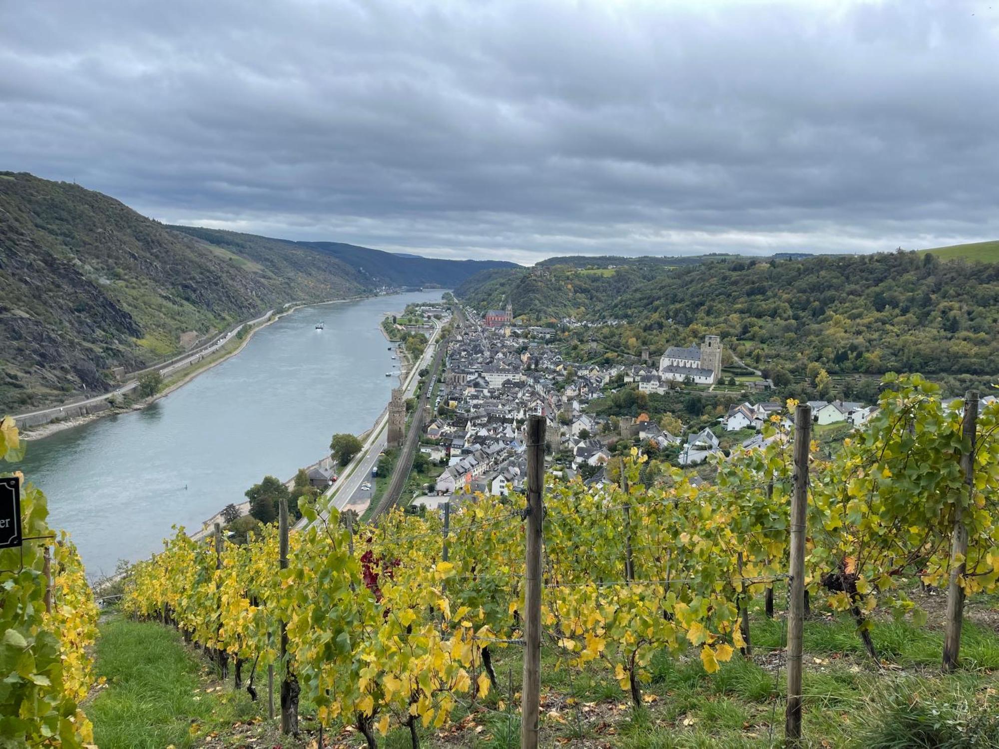 Am Apfelbaum, Ein Ferienhaus Zwischen Rhein Und Mosel Kastellaun Luaran gambar