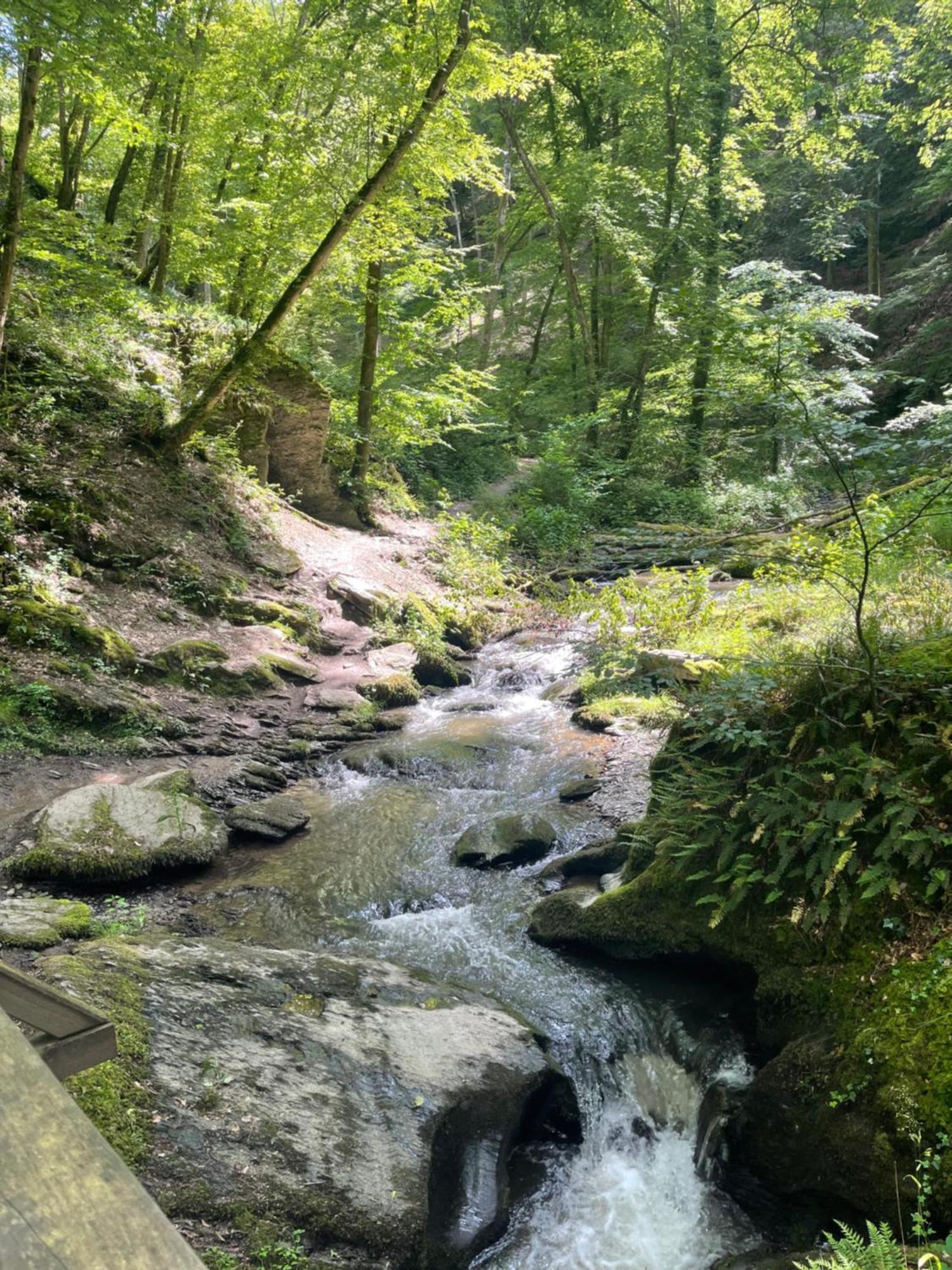Am Apfelbaum, Ein Ferienhaus Zwischen Rhein Und Mosel Kastellaun Luaran gambar